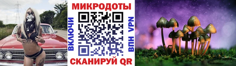 Галлюциногенные грибы Psilocybe  Сочи 